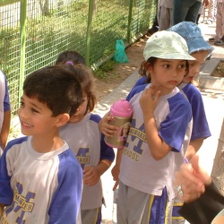 Trip to the Zoo, Grade 1 to 3