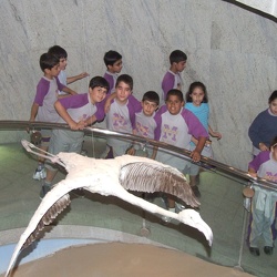 Trip-to-Dubai-Museum-Grade-4