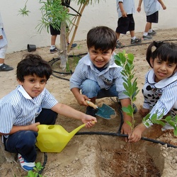 Planting-Union-Trees-in-KG