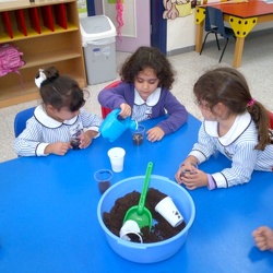 Planting-Wheat-KG2E-And-KG2F