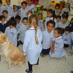 Dog at School KG 2