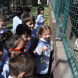Trip to Emirates Park Zoo, KG1 & 2