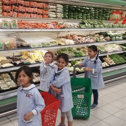 Trip to the Supermarket, KG