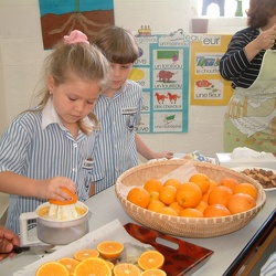 Making Orange Juice, Grade 1 to 4