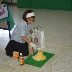 Science Exhibition, Grade 1 to 4