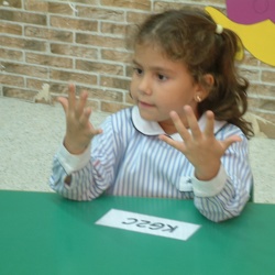 Competition in, KG2