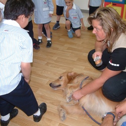 The Dog-Science Activity, KG2
