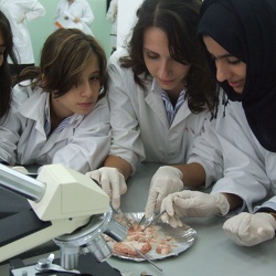 Brain-Dissection-Lab-Girls