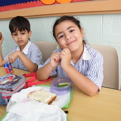 Healthy Lunch Box, Grade 1 to 3