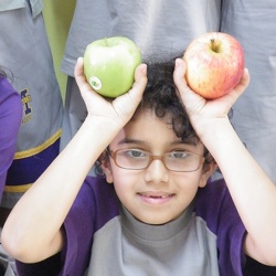 Apple Day, Grade 1 to 3