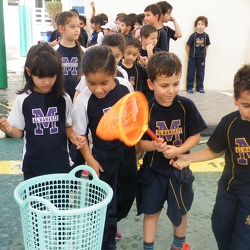 Water Day, Grade 1 to 3