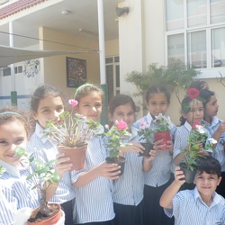 Planting Grade 3 
