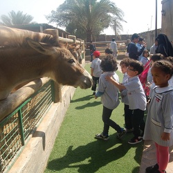 Emirates Park Zoo KG 1 
