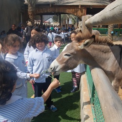 Emirates Park Zoo KG 2