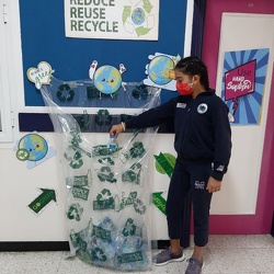 Recycle Bottles